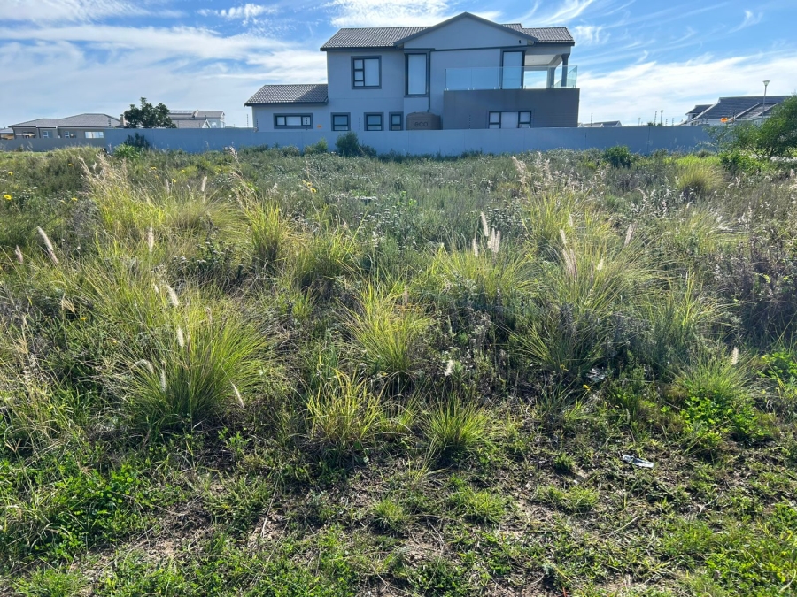 0 Bedroom Property for Sale in Fountains Estate Eastern Cape